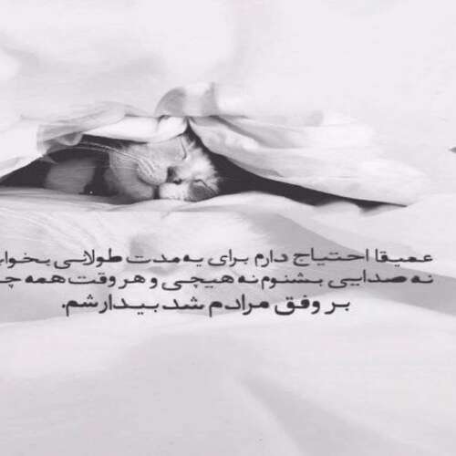 دانلود آهنگ غیرتی روی پیرهنم عطر تو میمونه هوش مصنوعی هایده و حمیرا و بیژن یار