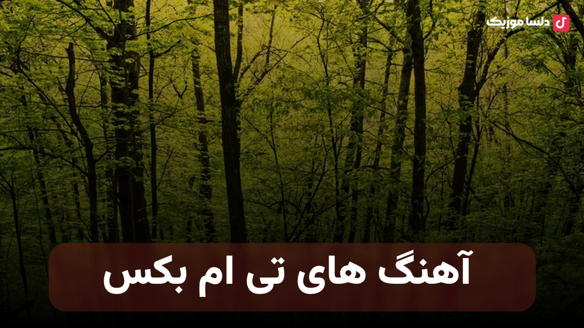  آهنگ های تی ام بکس