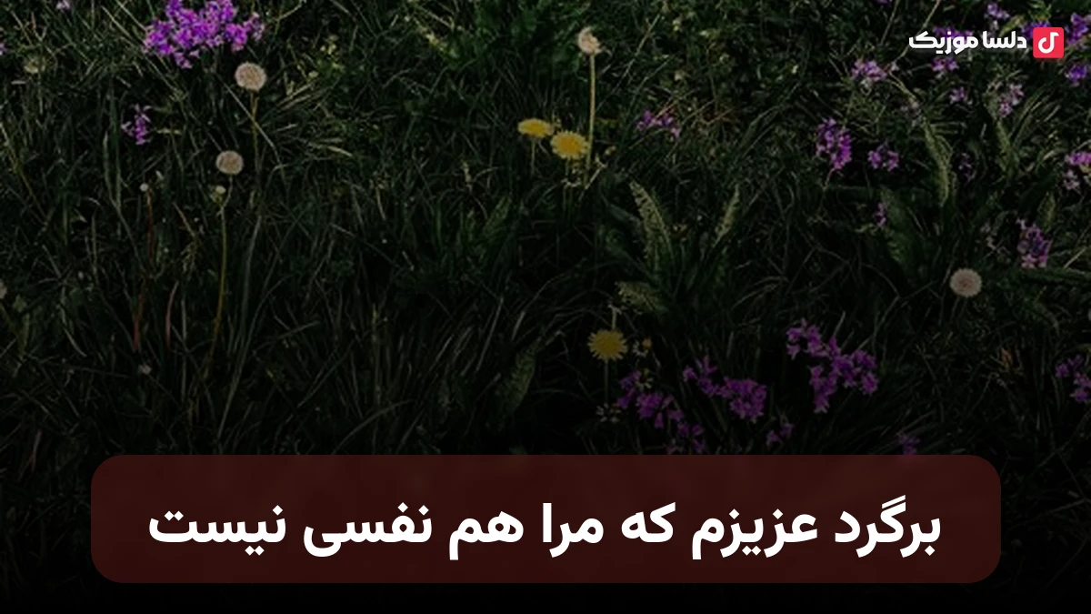 برگرد عزیزم که مرا هم نفسی نیست