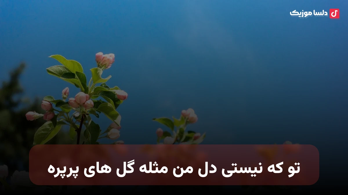 تو که نیستی دل من مثله گل های پرپره