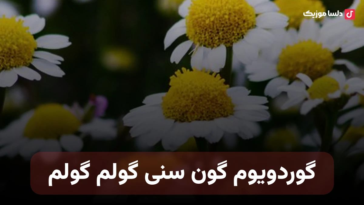 گوردویوم گون سنی گولم گولم
