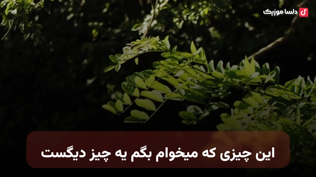 این چیزی که میخوام بگم یه چیز دیگست