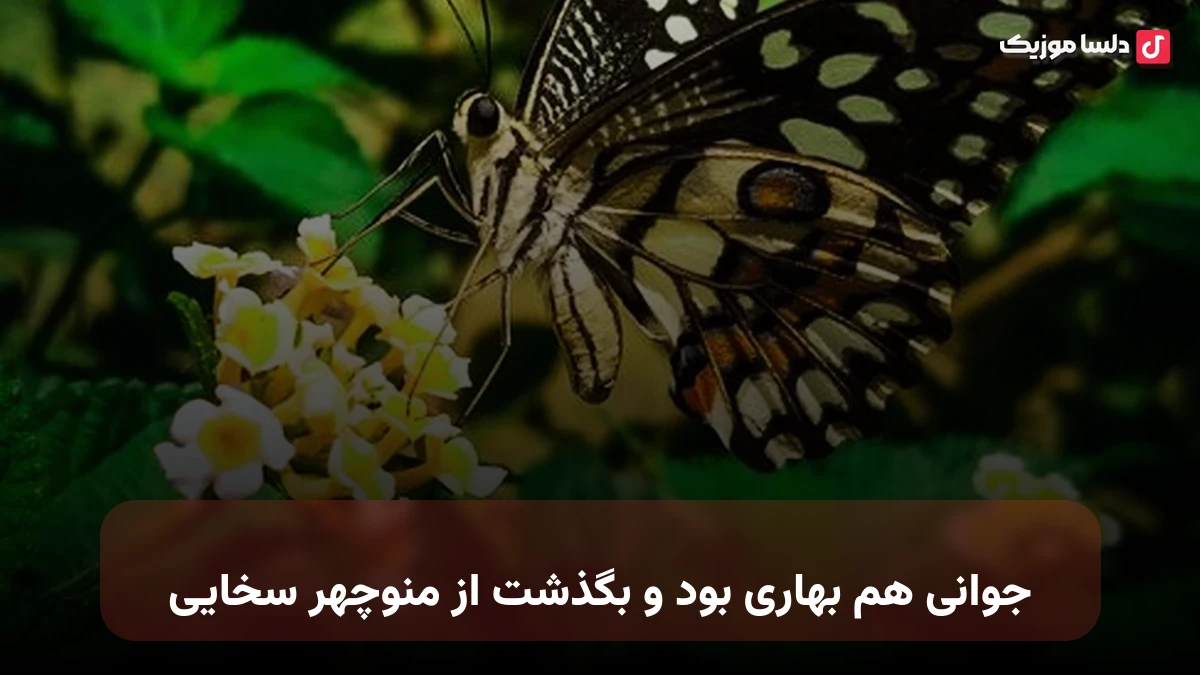 جوانی هم بهاری بود و بگذشت از منوچهر سخایی