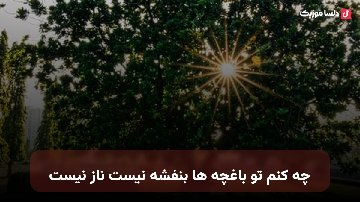 چه کنم تو باغچه ها بنفشه نیست ناز نیست