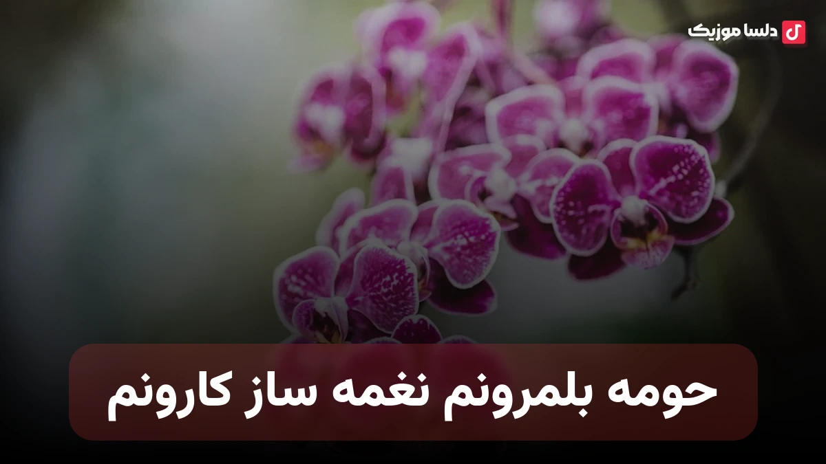 حومه بلمرونم نغمه ساز کارونم