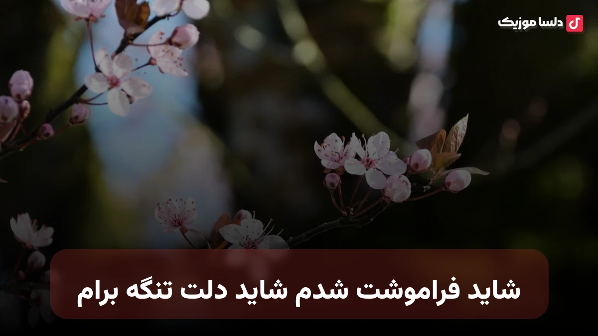 شاید فراموشت شدم شاید دلت تنگه برام