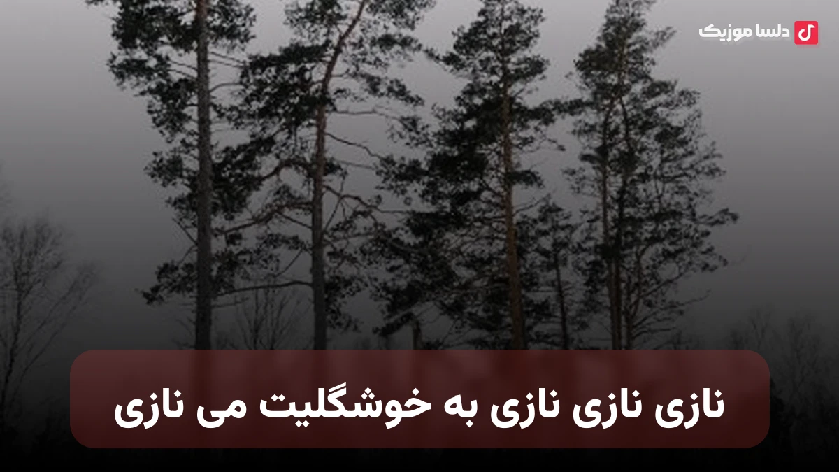نازی نازی نازی به خوشگلیت می نازی
