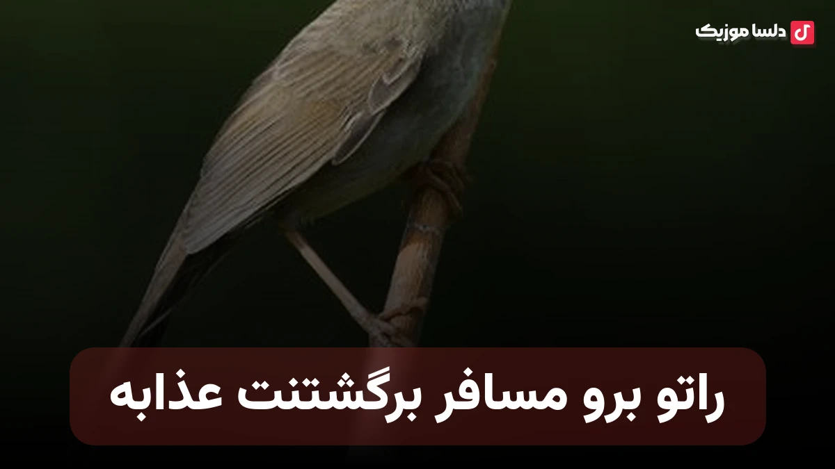 راتو برو مسافر برگشتنت عذابه
