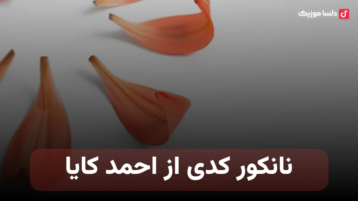 نانکور کدی از احمد کایا