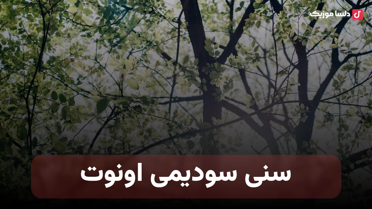 سنی سودیمی اونوت