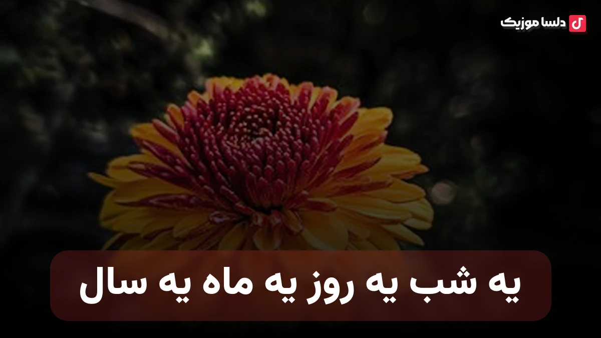یه شب یه روز یه ماه یه سال