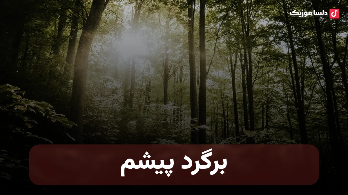 برگرد پیشم