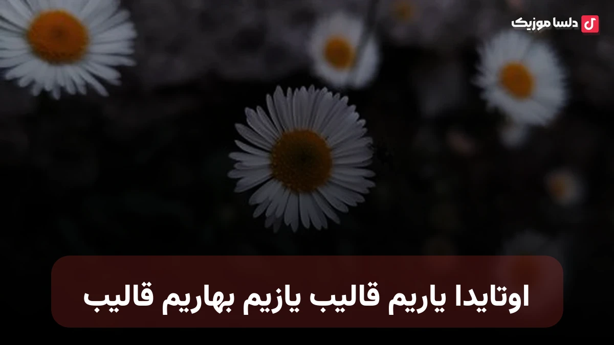 اوتایدا یاریم قالیب یازیم بهاریم قالیب