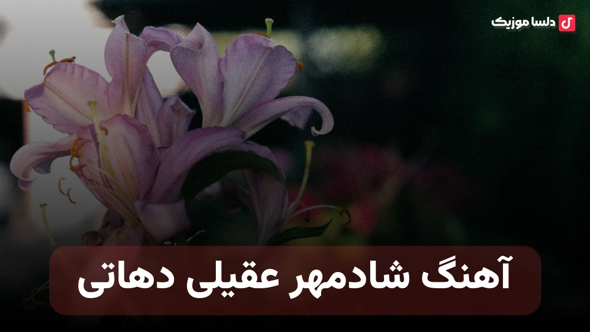 آهنگ شادمهر عقیلی دهاتی