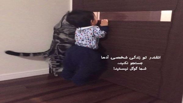 بزار فدات بشم تو راه عاشقی مثل یه قوربونی از سعید شایسته