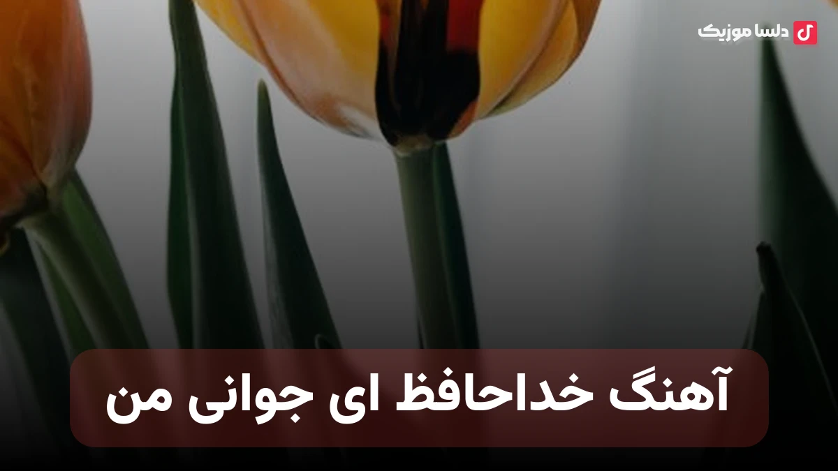 خداحافظ ای جوانی من با صدای زن