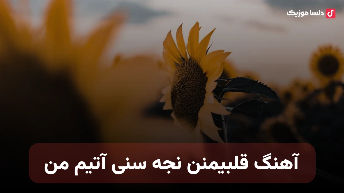 ترکی قلبیمنن نجه سنی آتیم من