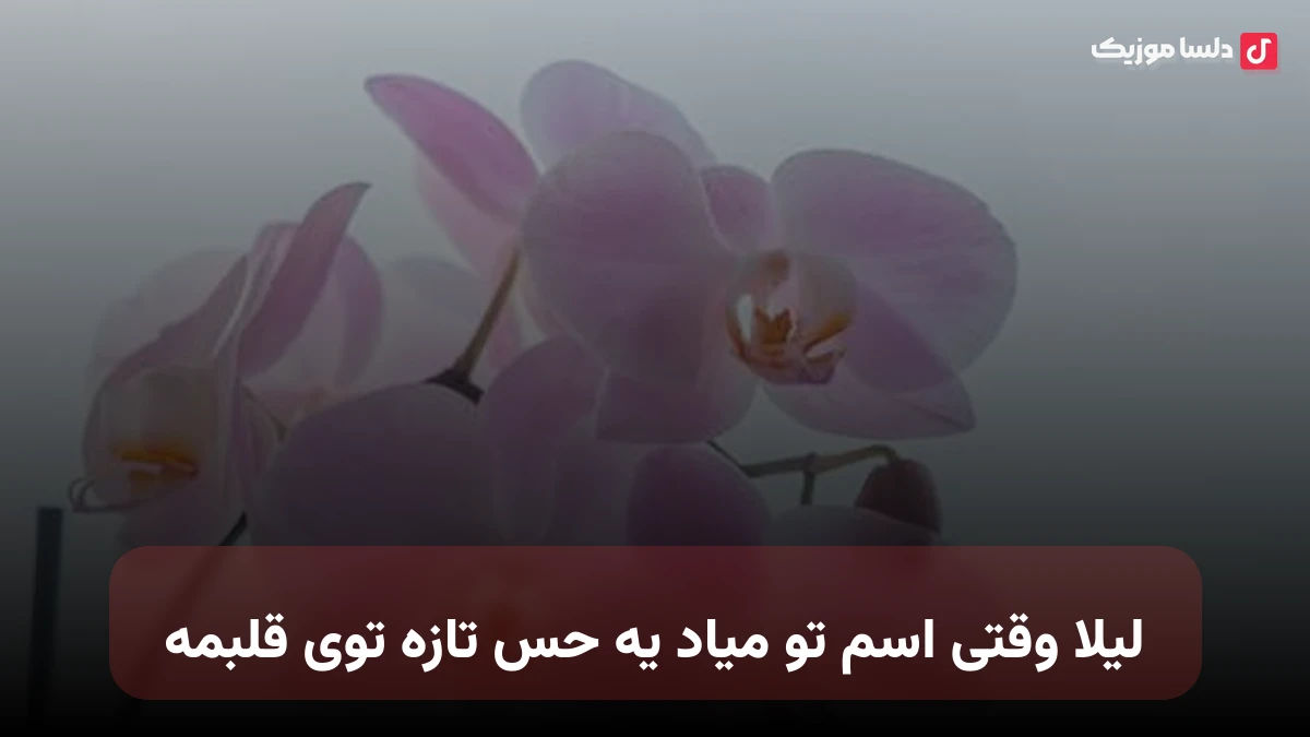 لیلا وقتی اسم تو میاد یه حس تازه توی قلبمه صدای زن