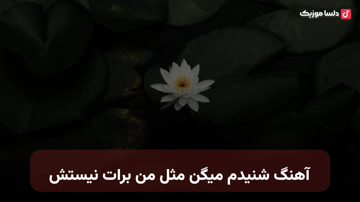  شنیدم میگن مثل من برات نیستش