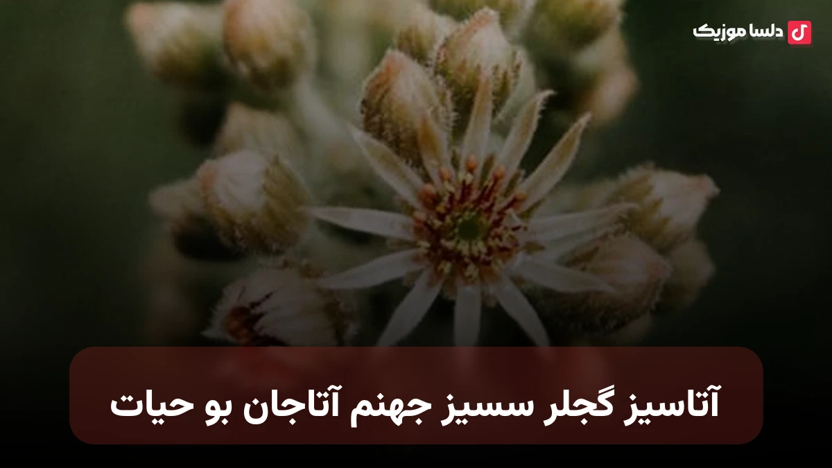 آتاسیز گجلر سسیز جهنم آتاجان بو حیات ترکی
