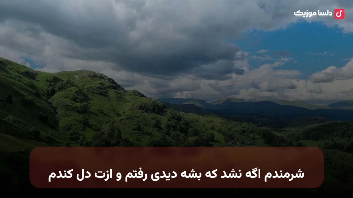 شرمندم اگه نشد که بشه دیدی رفتم و ازت دل کندم